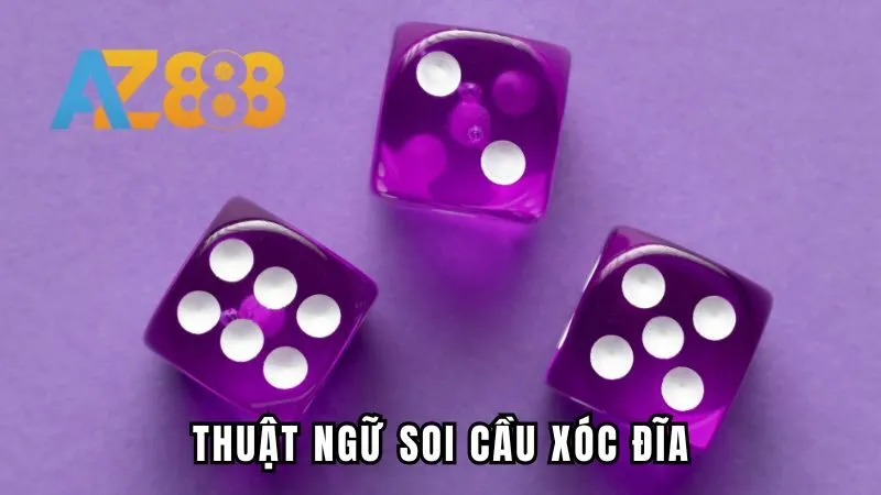 Một số thuật ngữ soi cầu xóc đĩa thường gặp